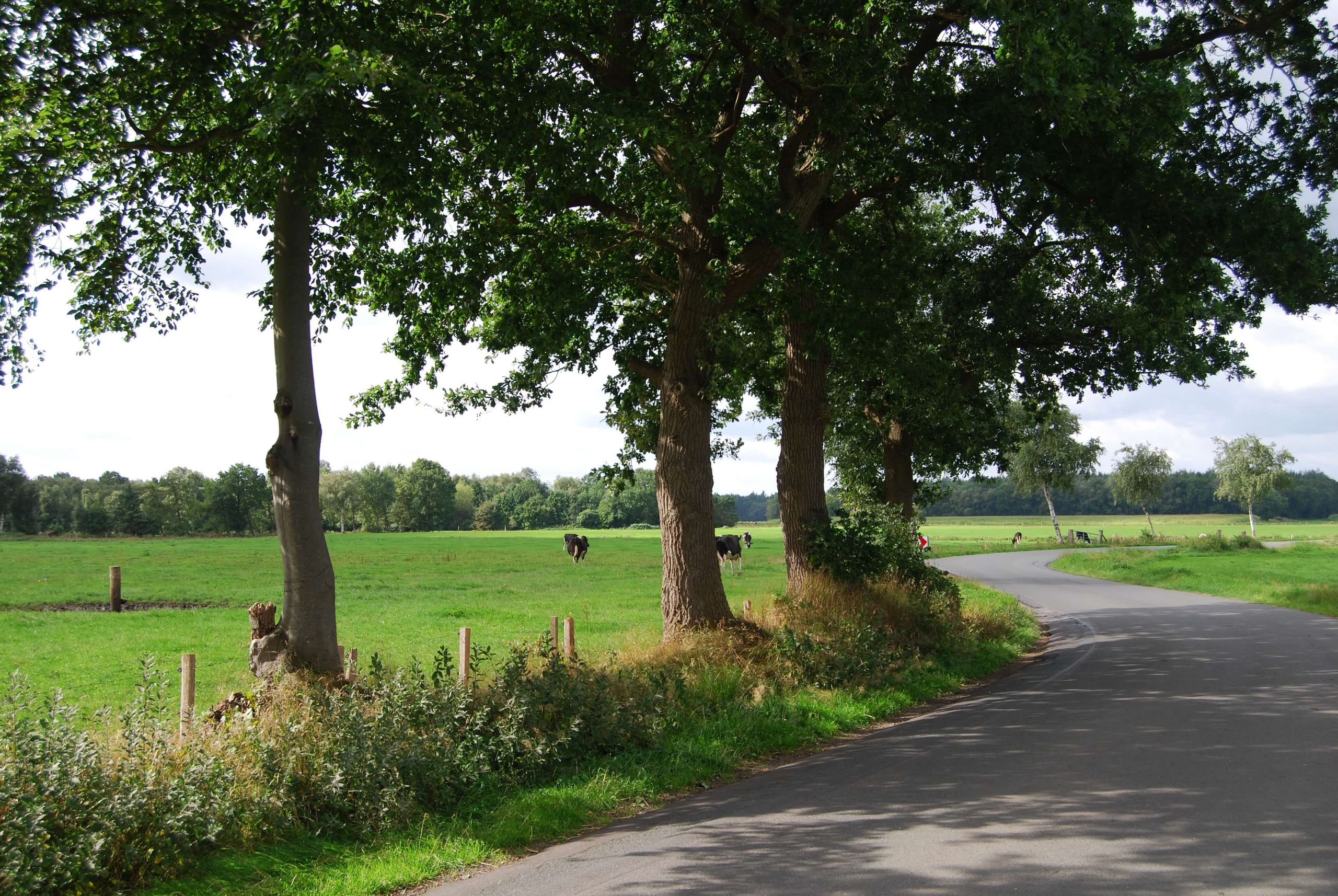 Radtour: 6 x in die Region