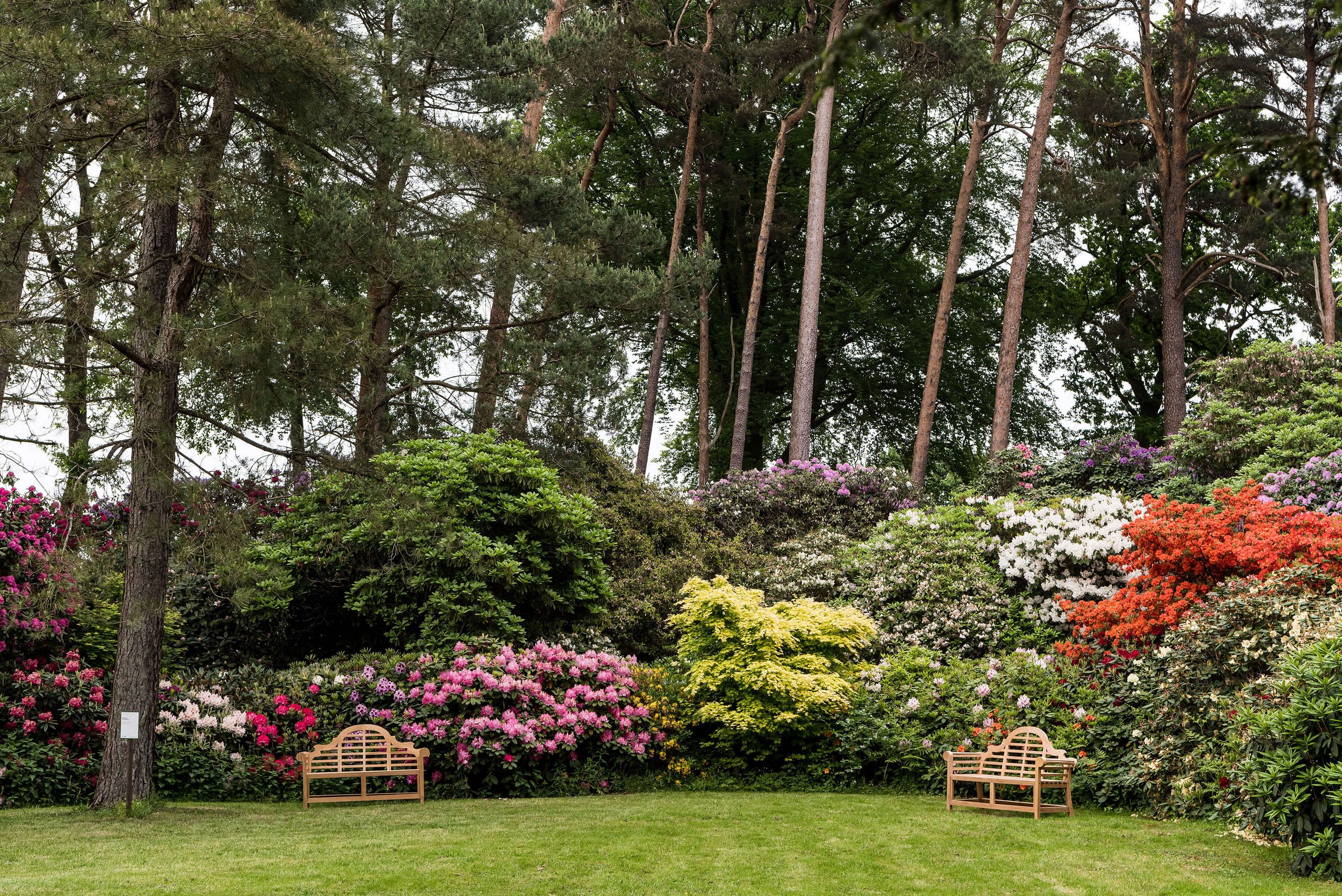 Rhododendronpark Hobbie - Touristik Westerstede