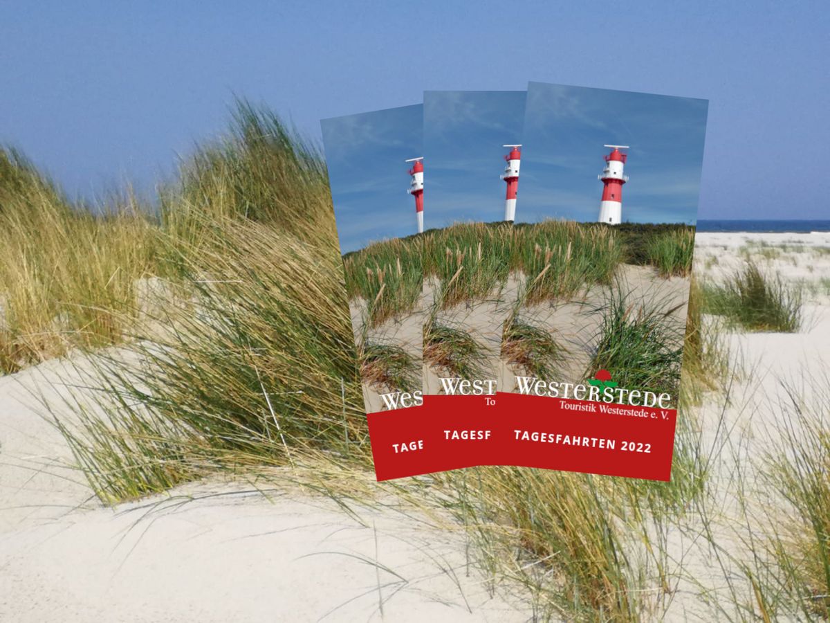 NEUE PROSPEKTE N CHSTE WOCHE visual data 4