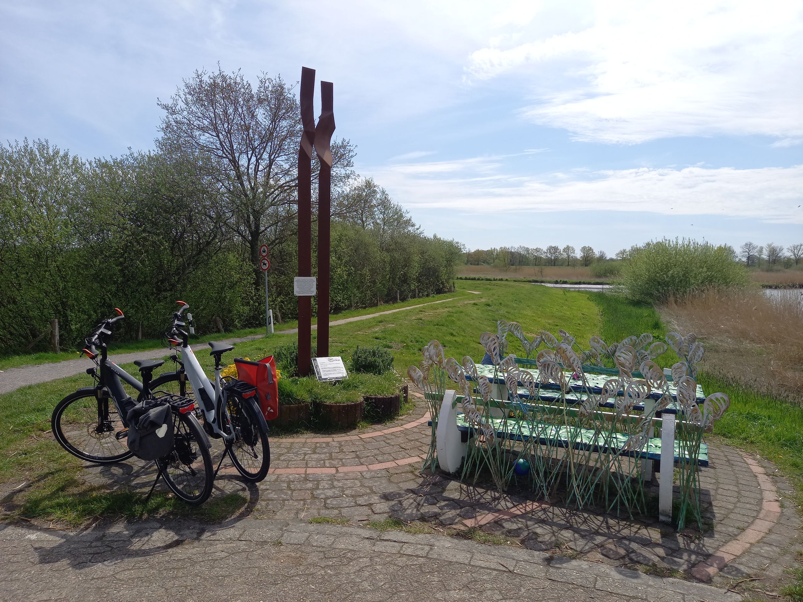 brabant thuja pflanzen Thuja Brabant (40  60 cm) als krftige wurzelware